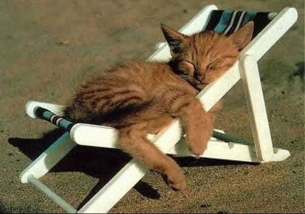 cool...les vacances...