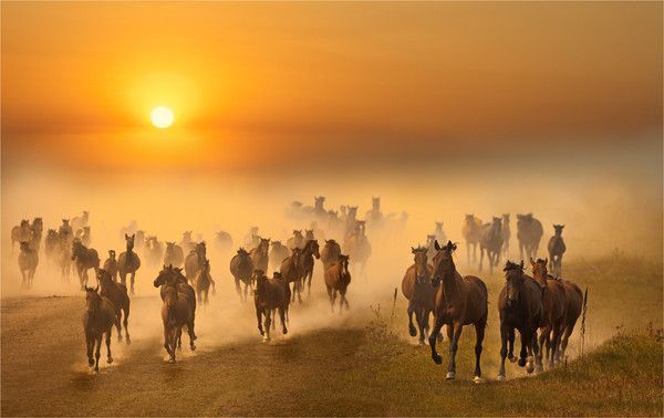 Oui ...bien l'heure des cowboy.....