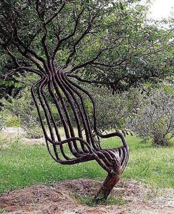 Arbre chaise...