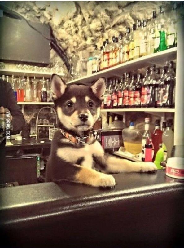 hé...bar tender...