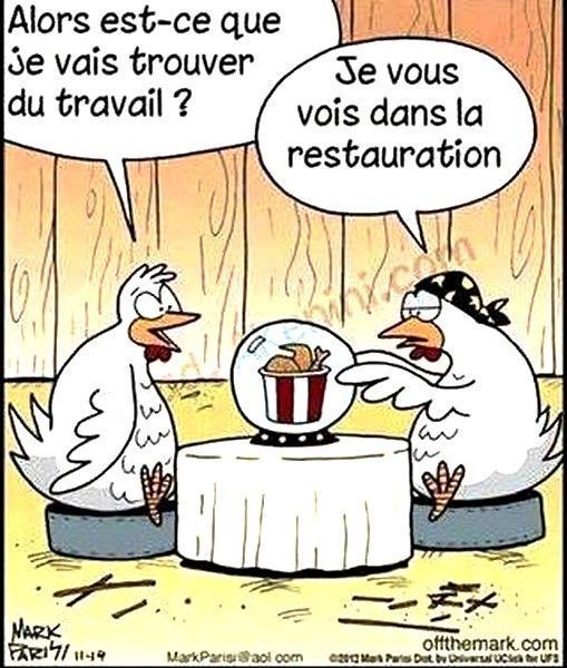 poulet ti...avoir