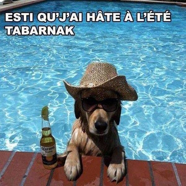 t'as pas idée..hi.hi..