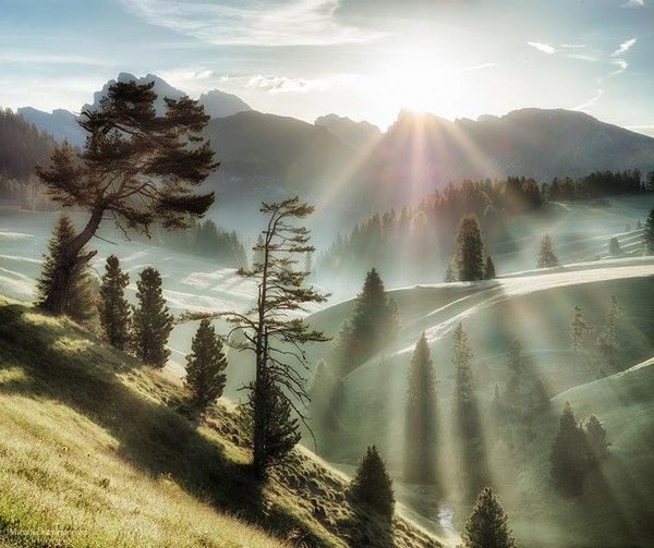 Vie la lumière...