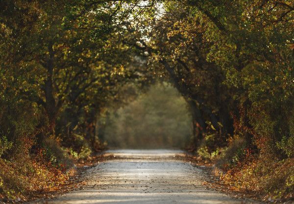 sentier des derniers