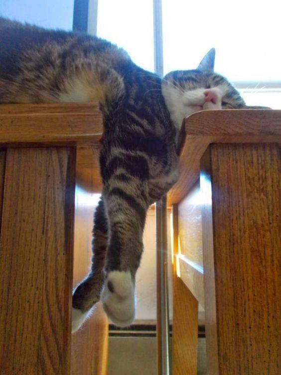 trop..dur...