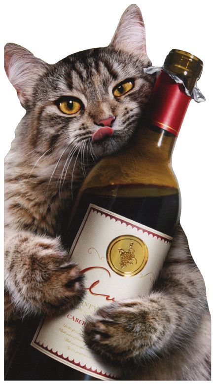 alors bon vendredi..hi.hi..