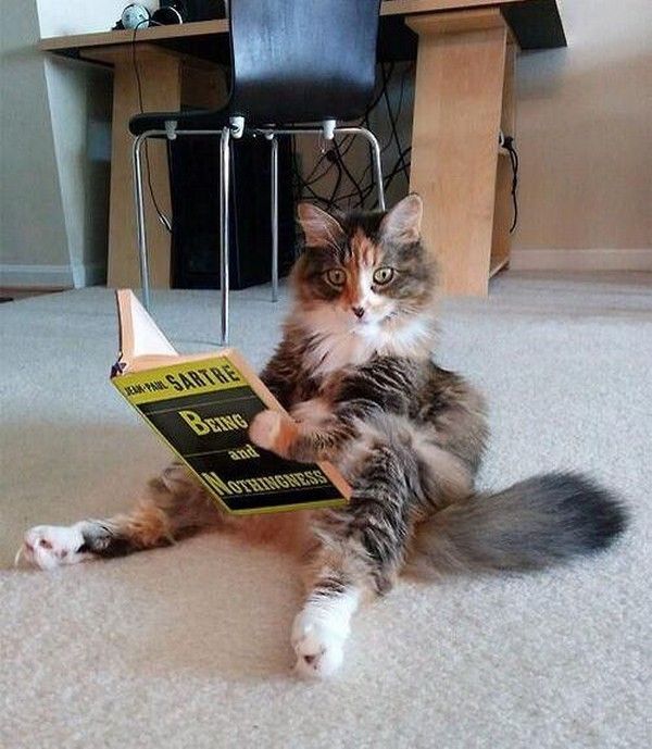 Bateinche...elle..est ....