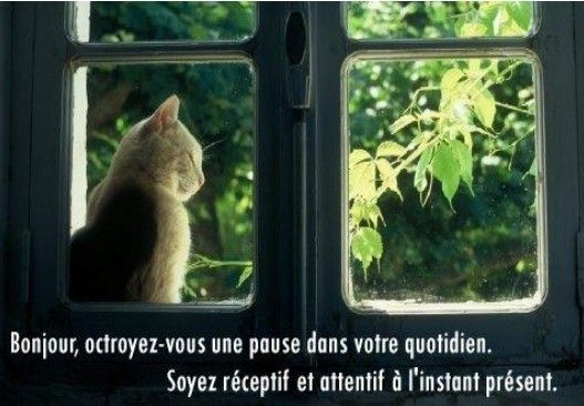 Faite une pause...