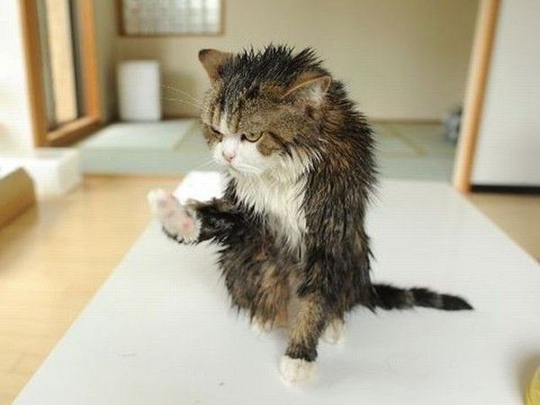 Pas ........un Mots...sa Games....!!!