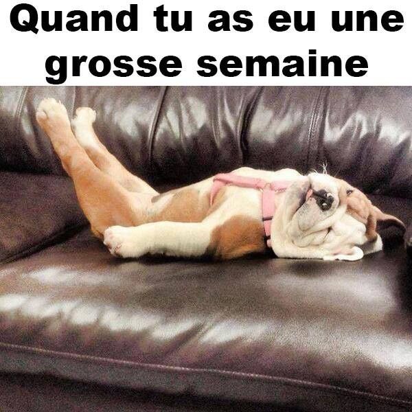 cé...des signes..hi.hi..