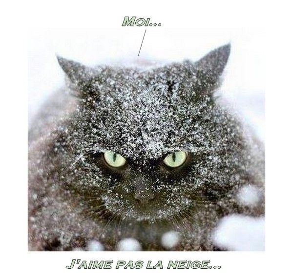 Moi...l'hiver......