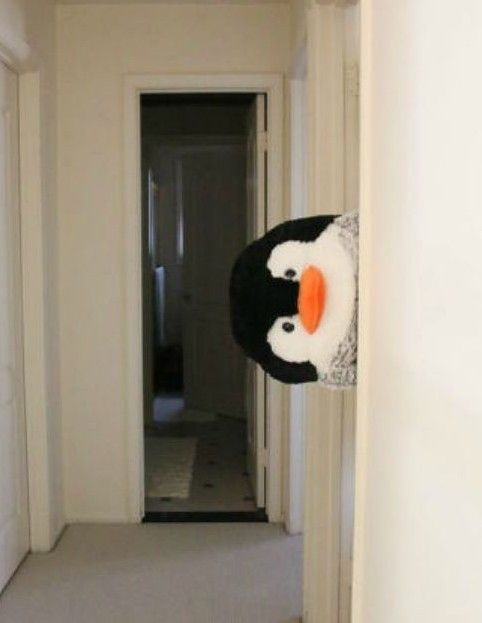 Coucou....