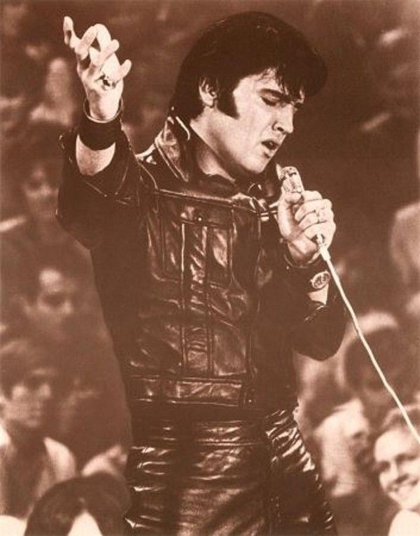 Elvis