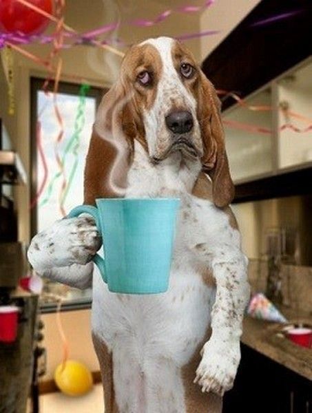 un bon gros.....café...hi.hi..