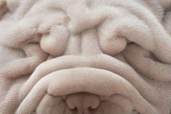 pas facile hi..hi..