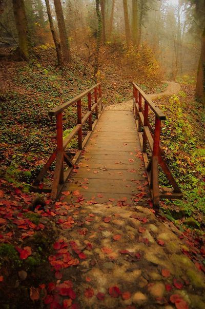 Pont automne...