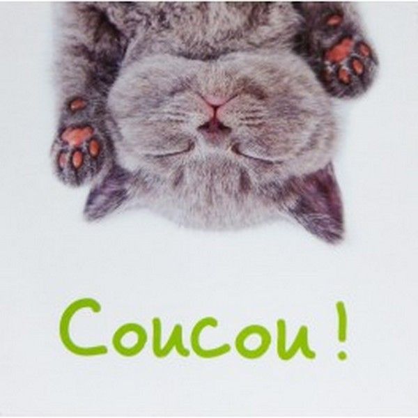 coucou