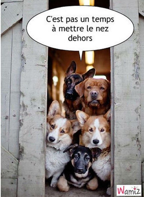 Non...cré..non...hi.hi..