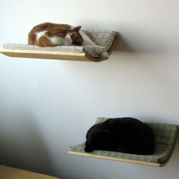 Lit pour chats...