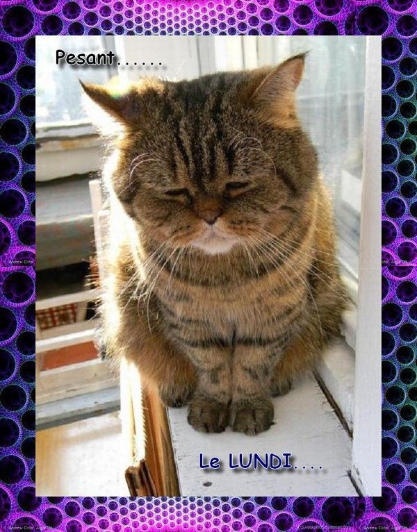 Des lundi....