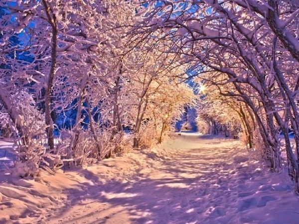 Un chemin hiver