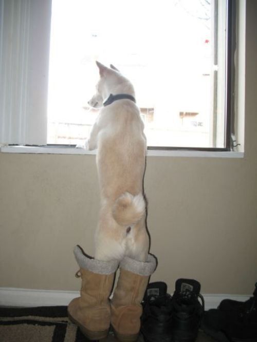 Bah!....j'pense...que....
