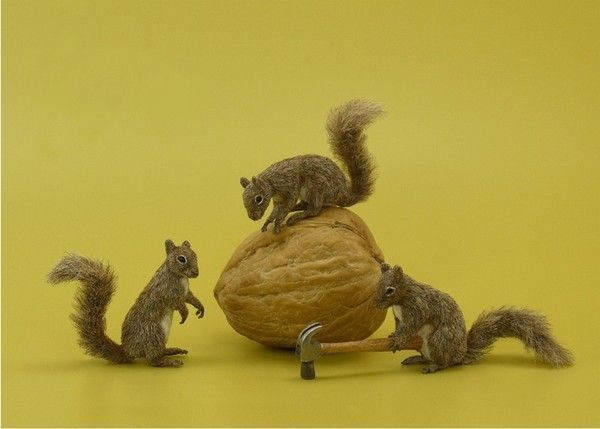 why nut's..hi.hi..