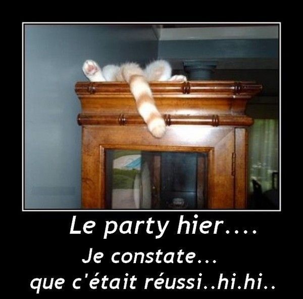 Ha...le party as été réussi....hi.hi..