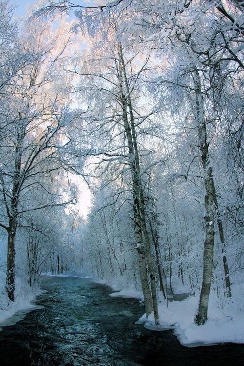 paysage hiver