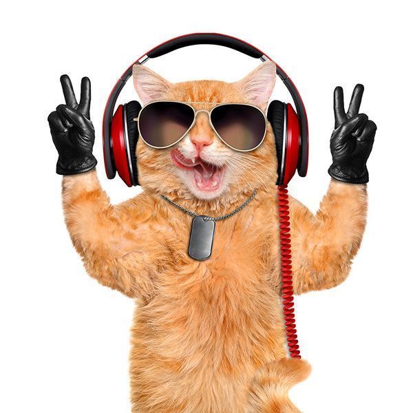 le DJ