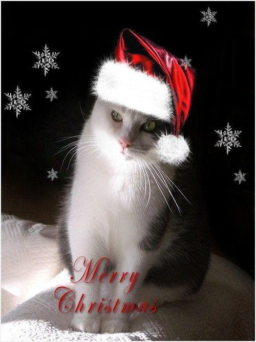 merry
