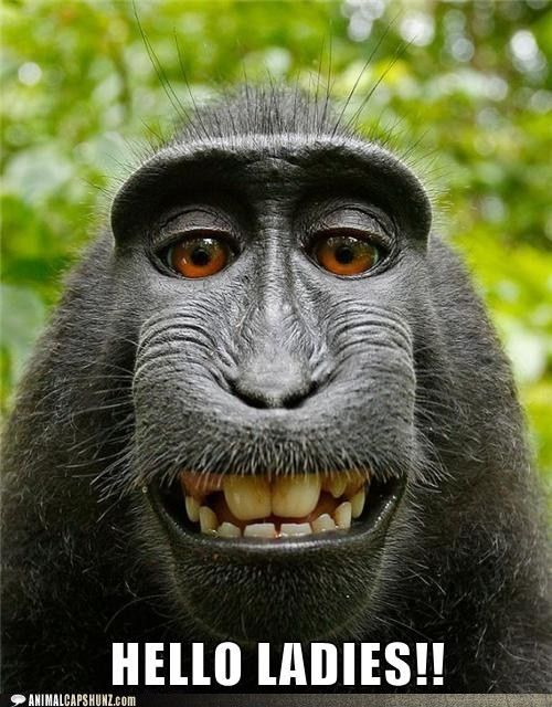 Hello...chérie...