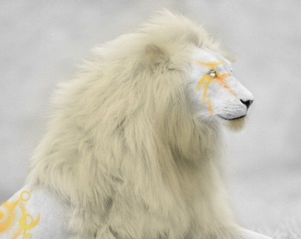 Lion blanc...