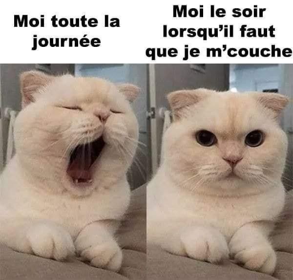 moi...