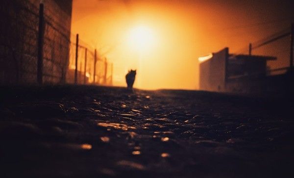noirceur au matin