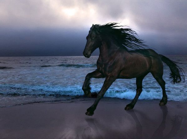 sur la plage