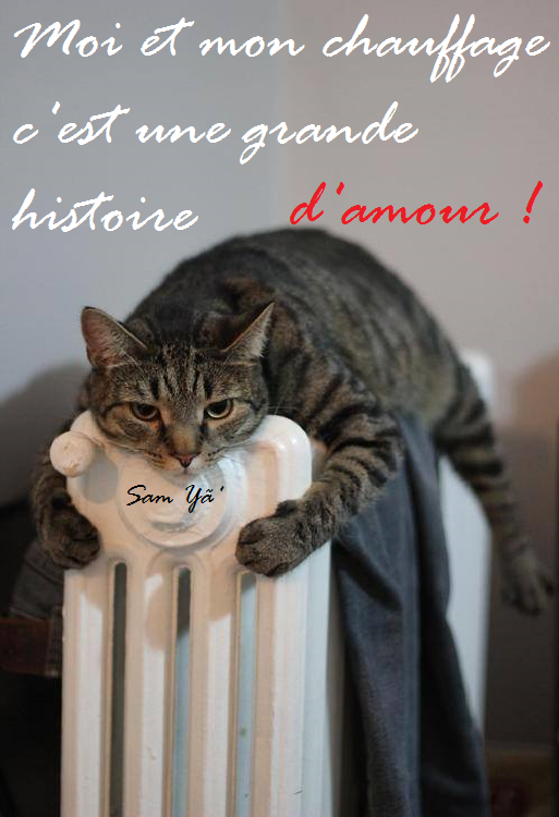 Trop...froid...