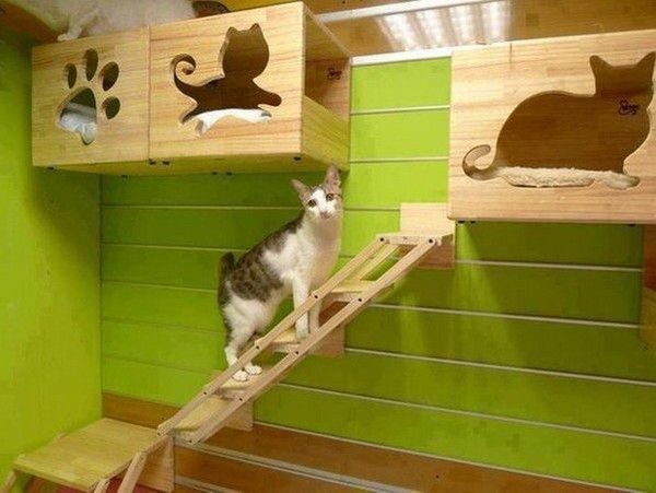 joli condo....hi.hi..