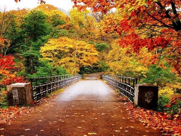Pont d'automne