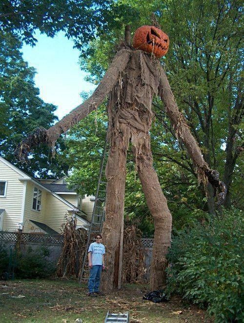 Un grand décor.....
