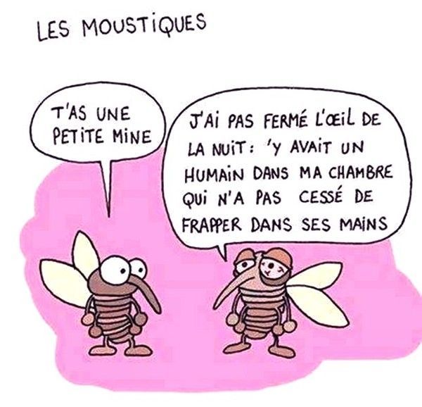 satané...mouche