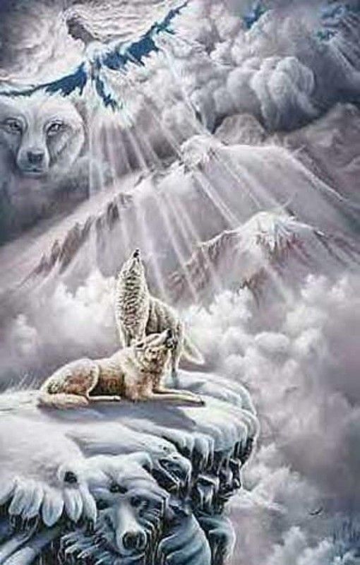 Image de loup....