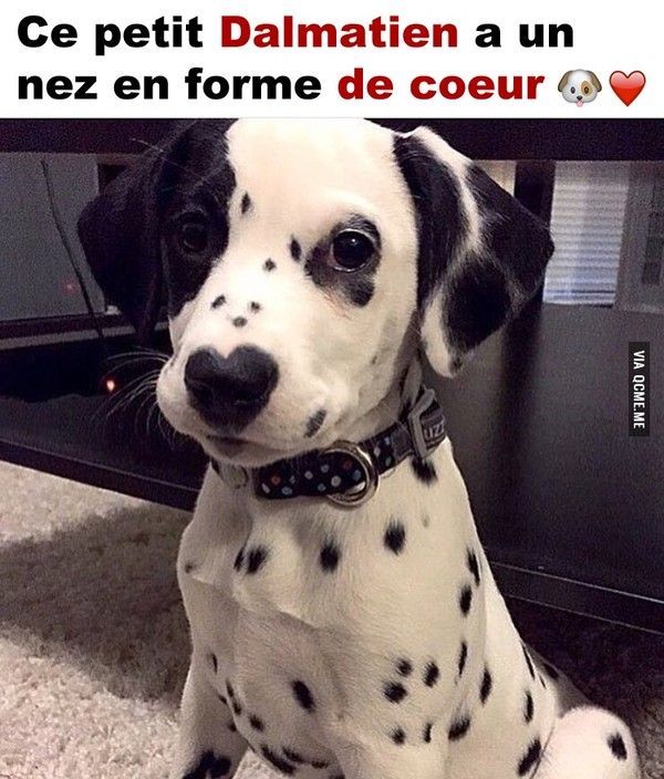 un beau ti coeur