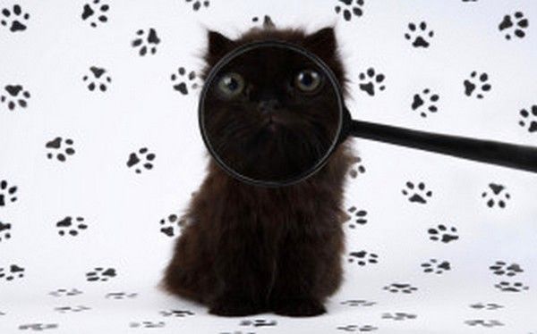 observons......les signes..hi.hi..