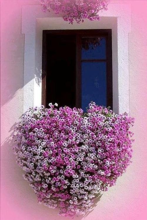 pour les amoureux....