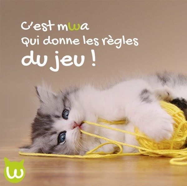 veut bien jouer
