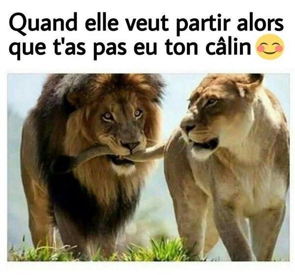 yo..chérie
