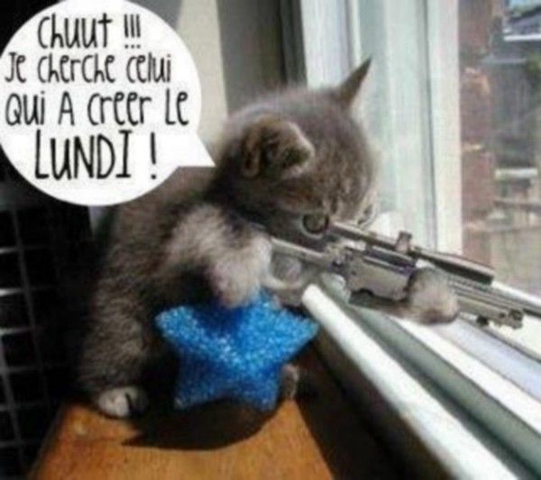 Anti...lundi....
