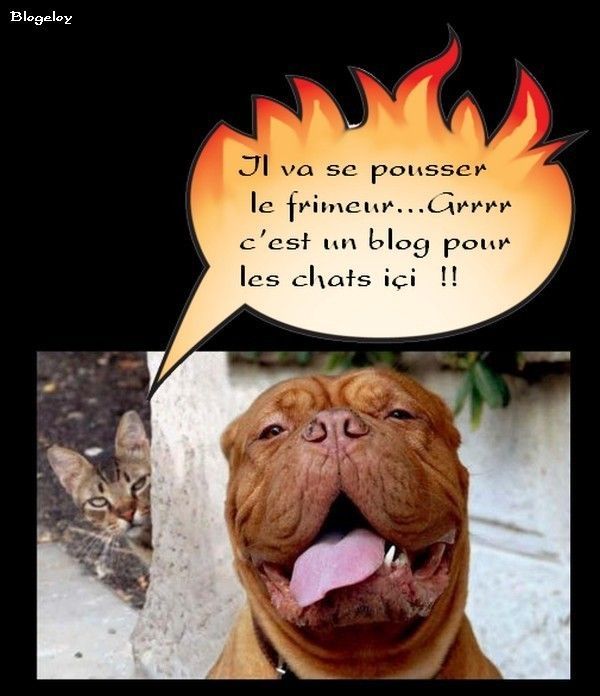 Ôtes toi de là ...faux frère...
