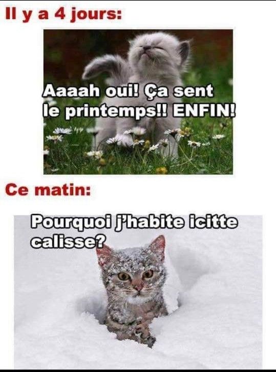 cé..pas mais....